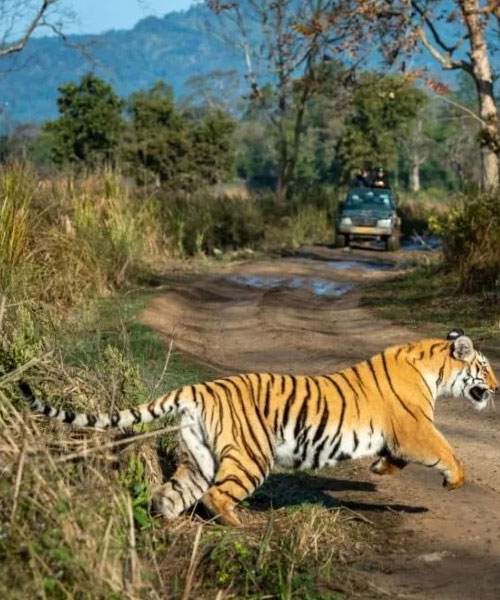 National Parks of India