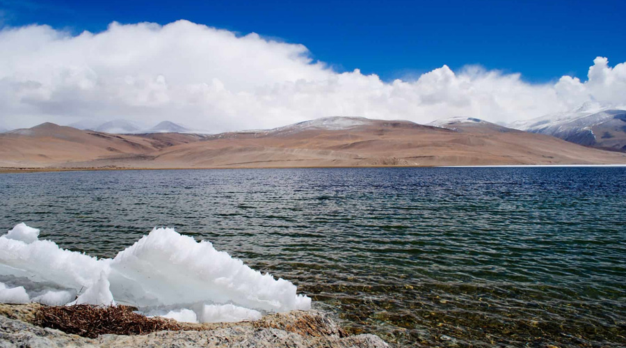 Exquisite Leh Trip