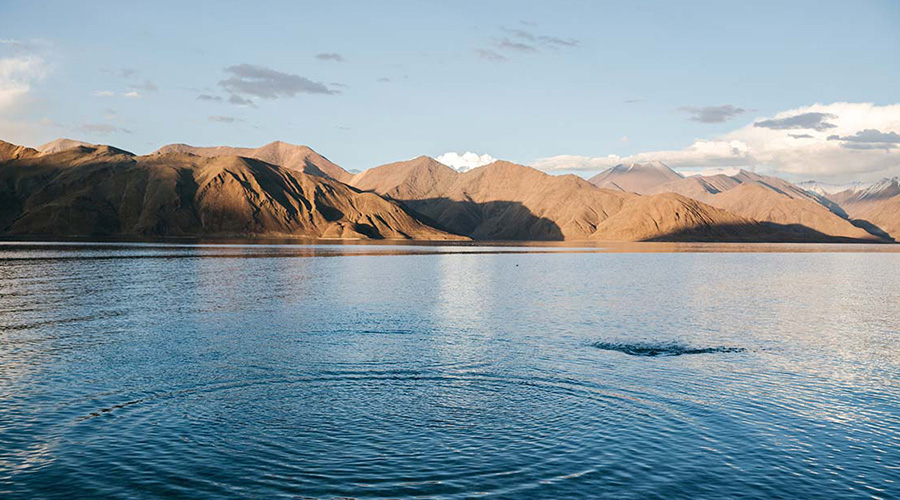 Magnificent Leh Trip
