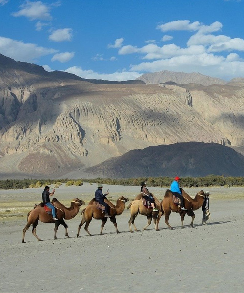 Incredible Leh Tours
