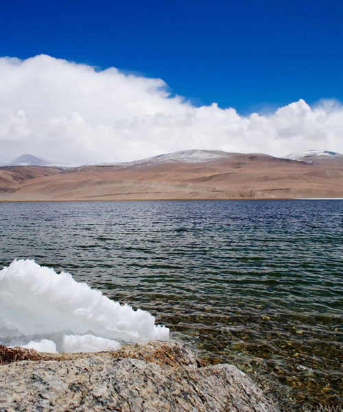Exquisite Leh Trip